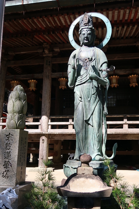 IMG_4766.JPG
