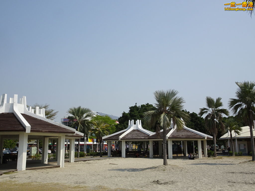 DSC09049.JPG