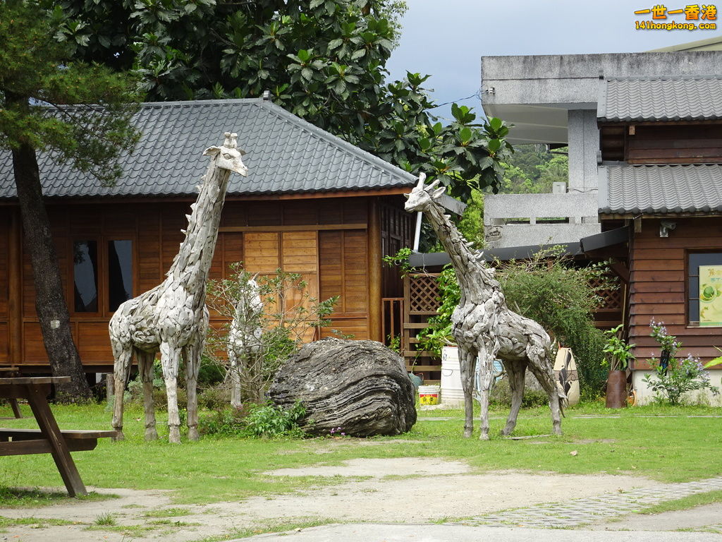 DSC09101.JPG