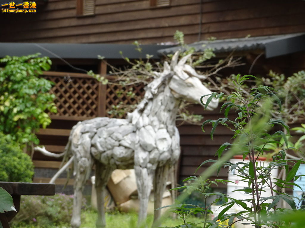 DSC09102.JPG