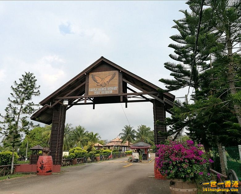 1756315i58ant6viictun5 780.jpg