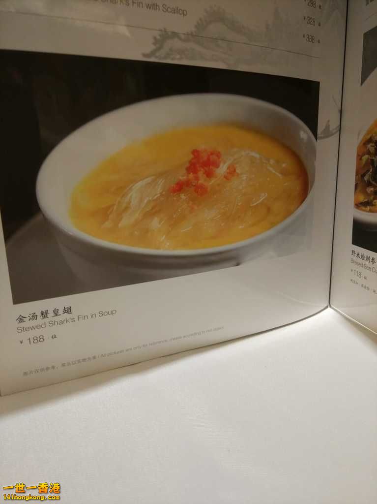 WhatsApp Image 2018-04-22 at 10.27.34 AM.jpeg