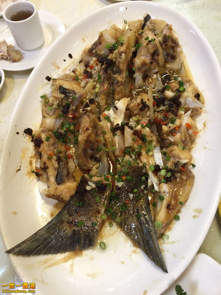 2018-04-26 15.47.16.jpg