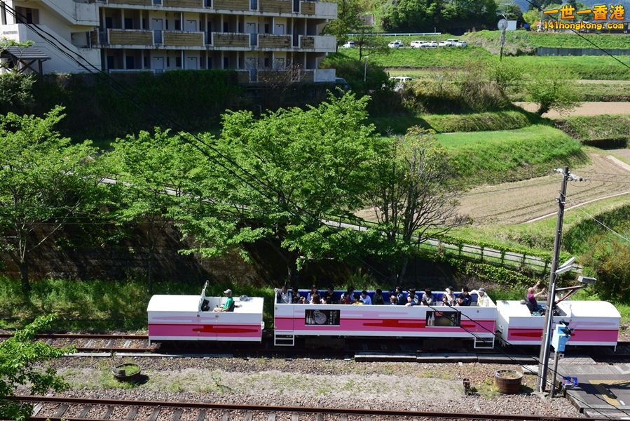 256.JPG