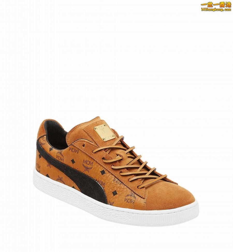 PUMA01.jpg