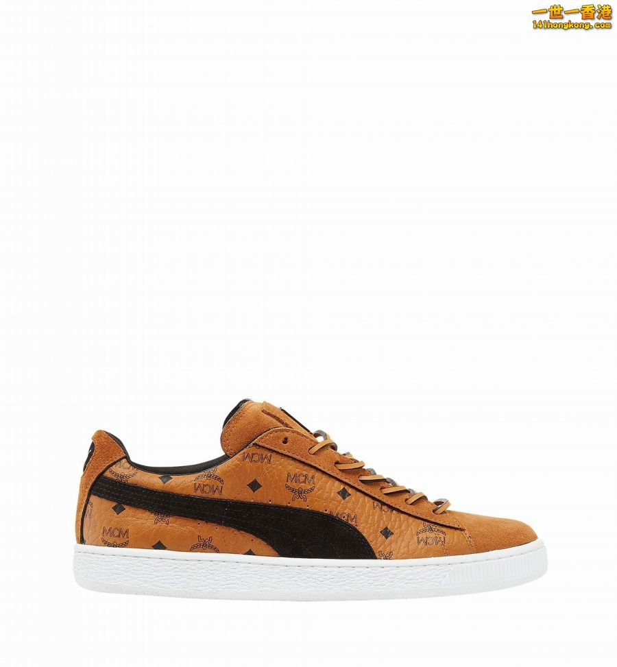 PUMA02.jpg