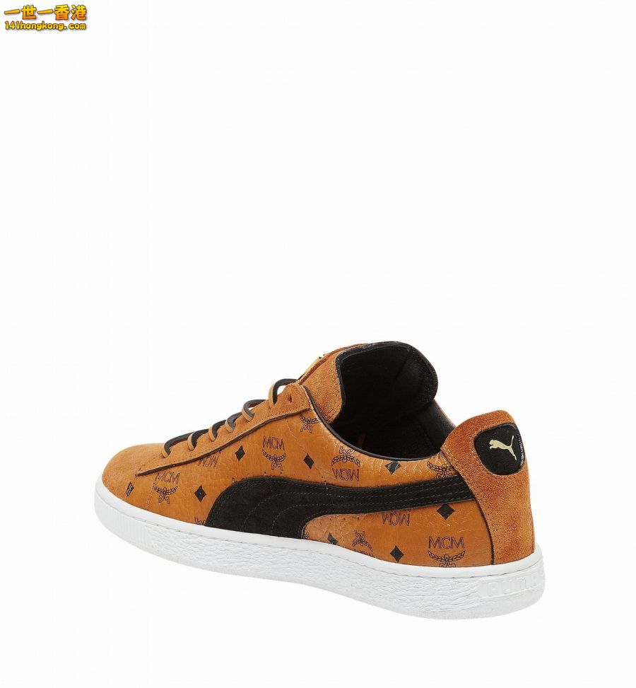PUMA03.jpg