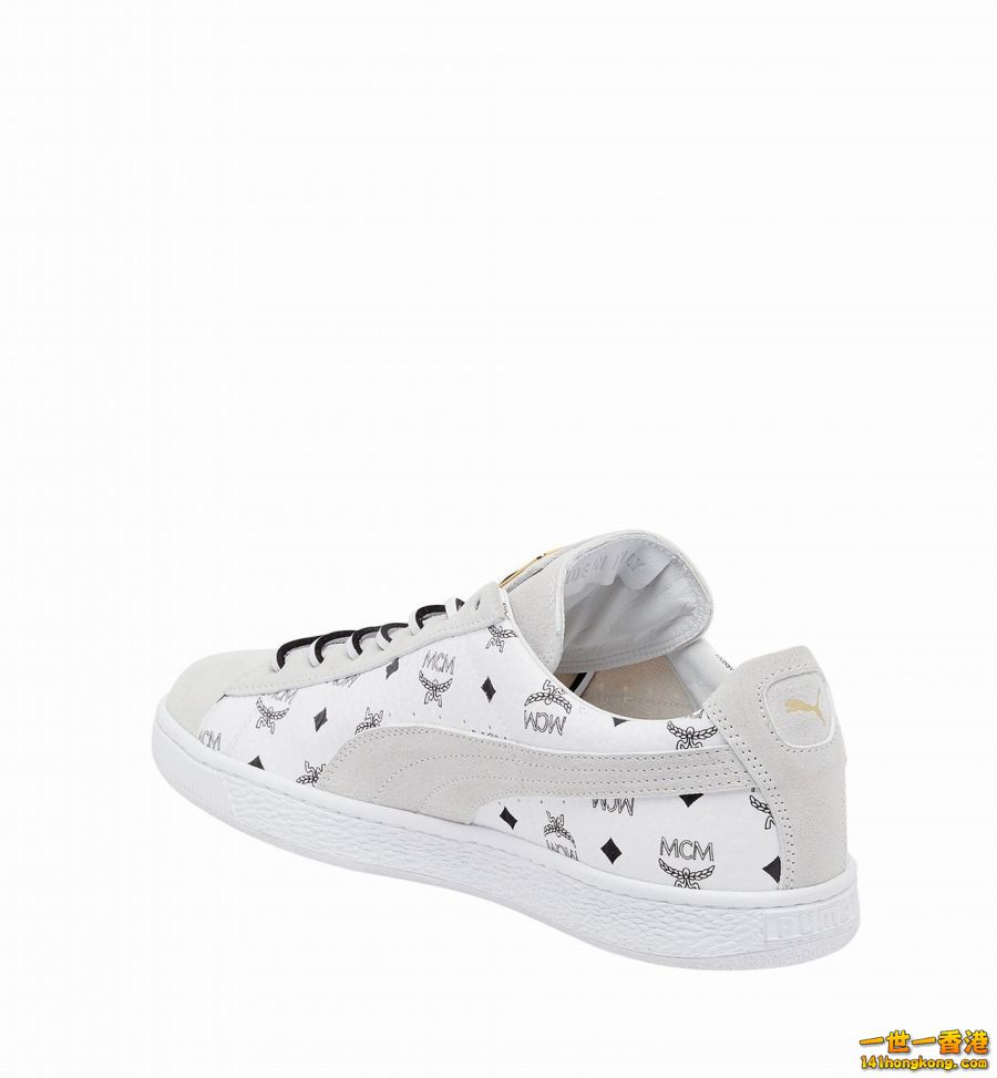 PUMA08.jpg