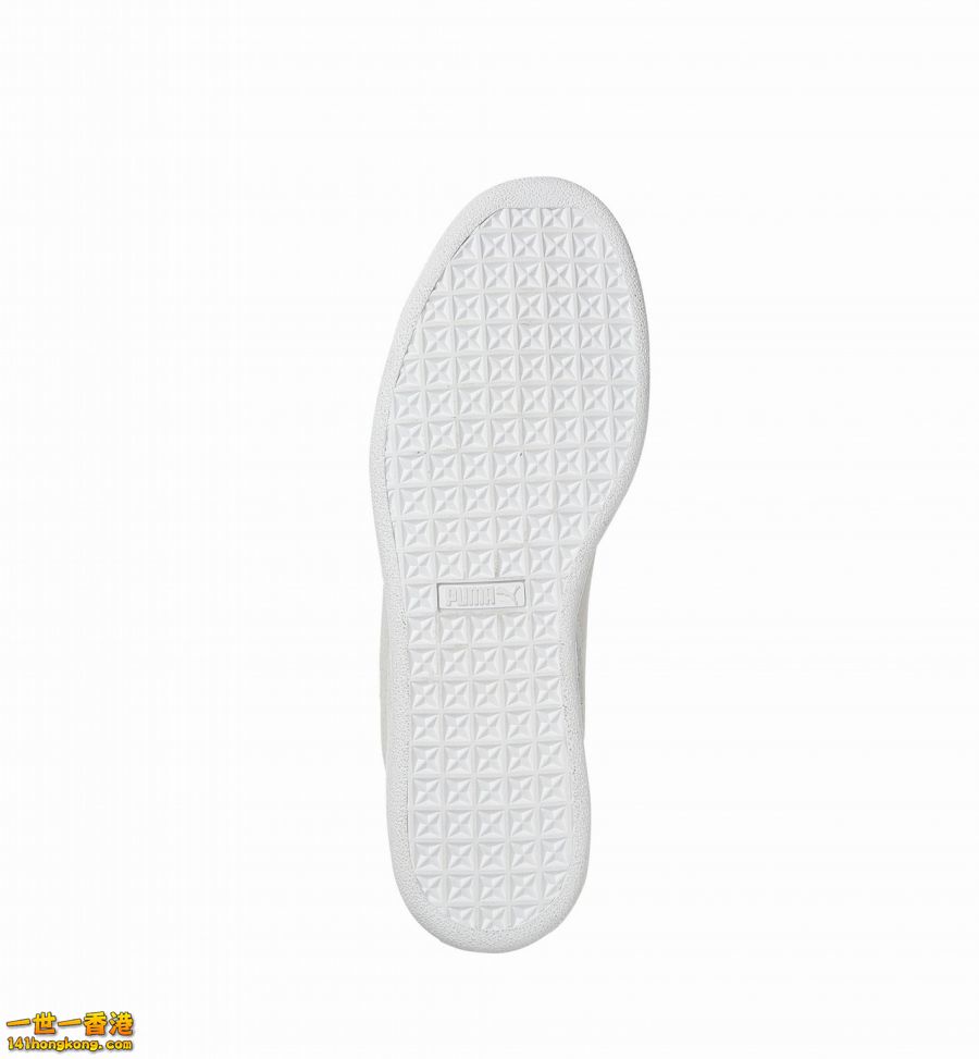 PUMA10.jpg