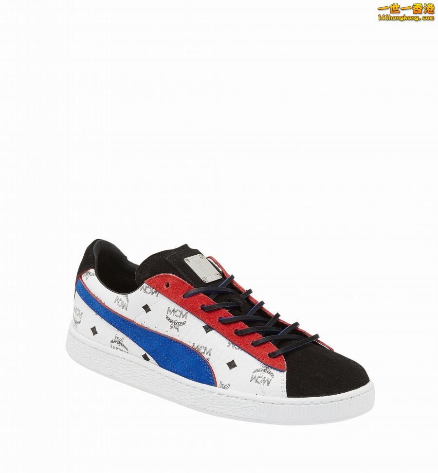 PUMA11.jpg