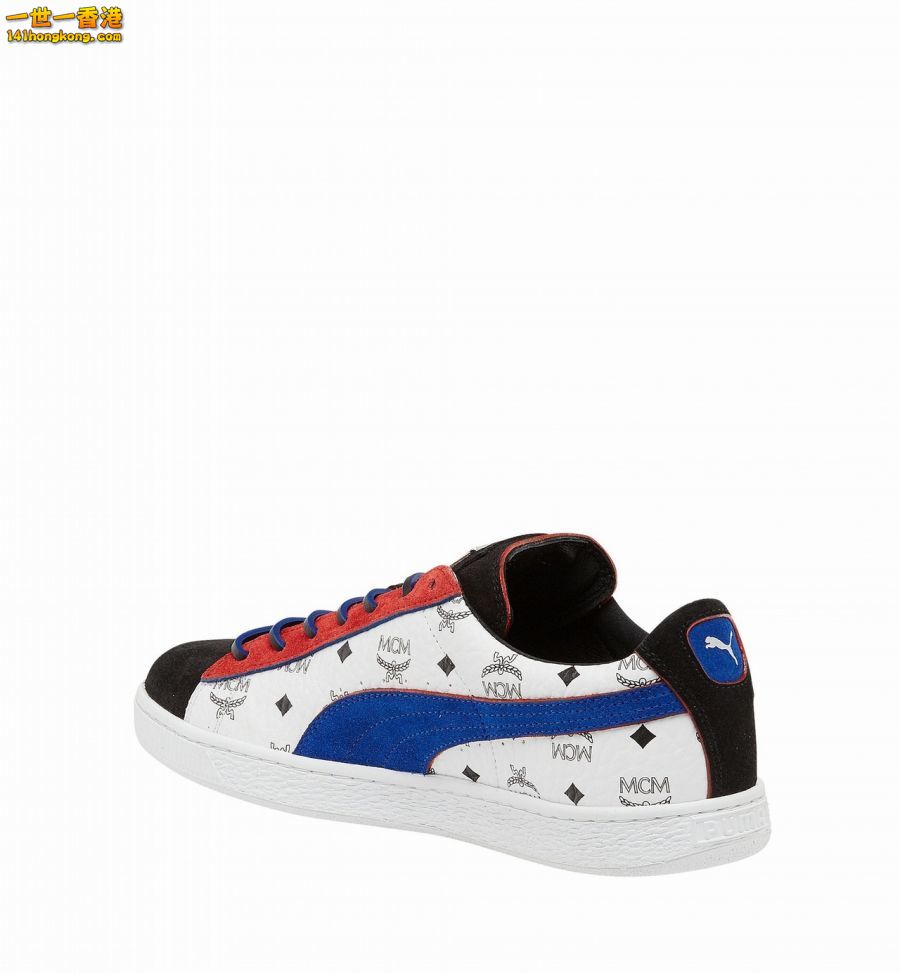 PUMA12.jpg