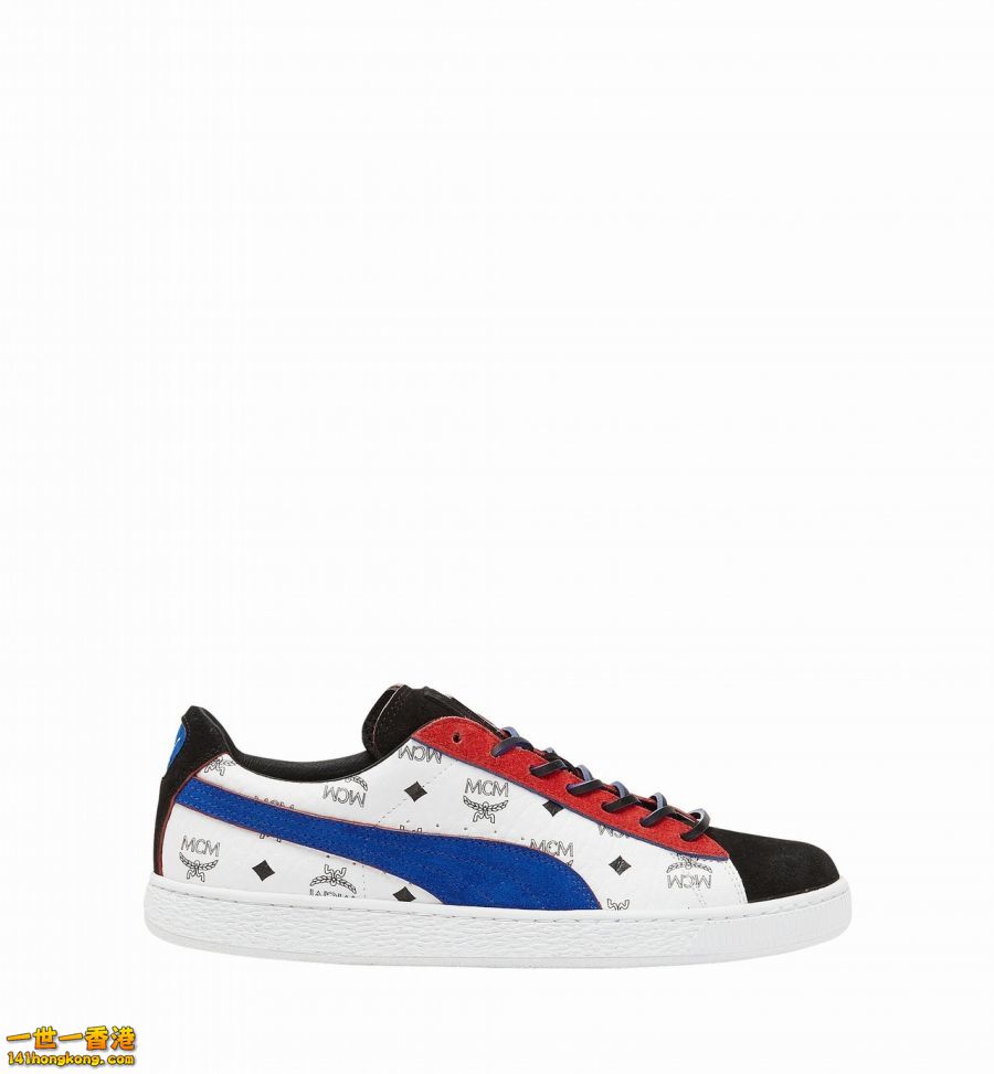 PUMA13.jpg
