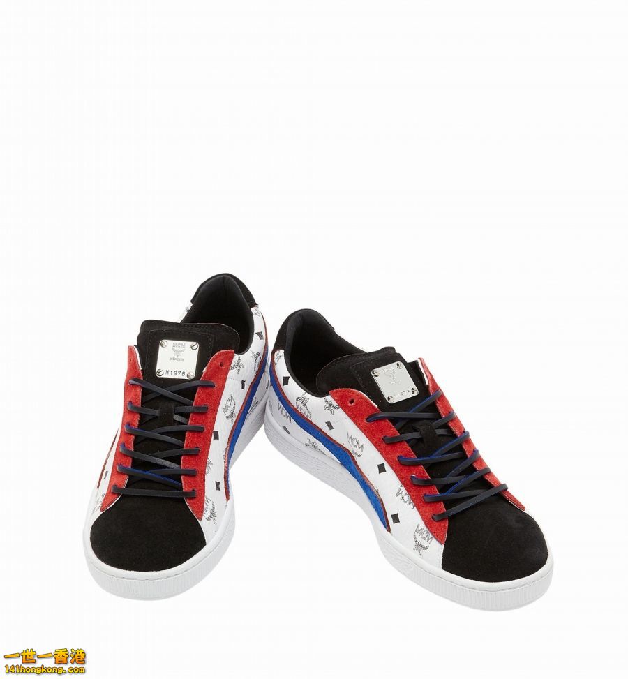 PUMA14.jpg