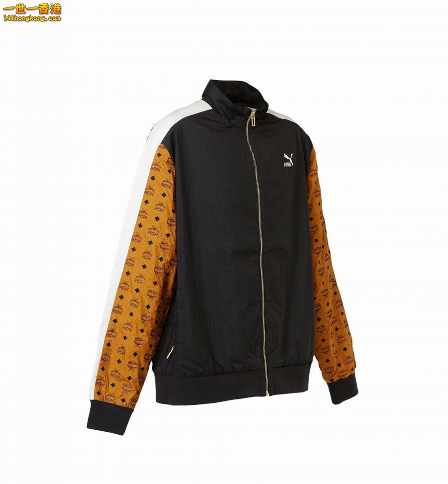 PUMA18.jpg