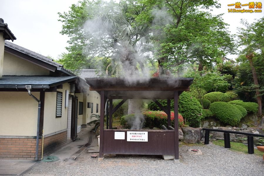 307.JPG