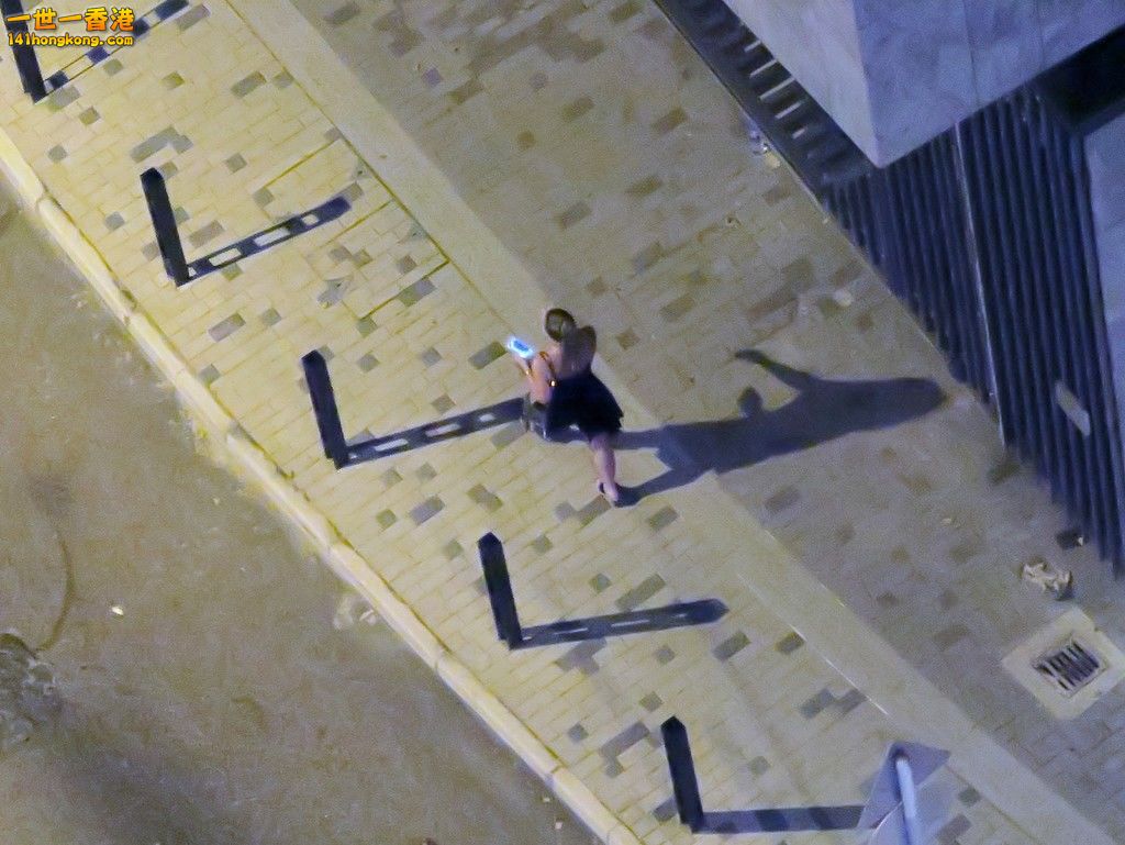 IMG_6869 (Large).JPG