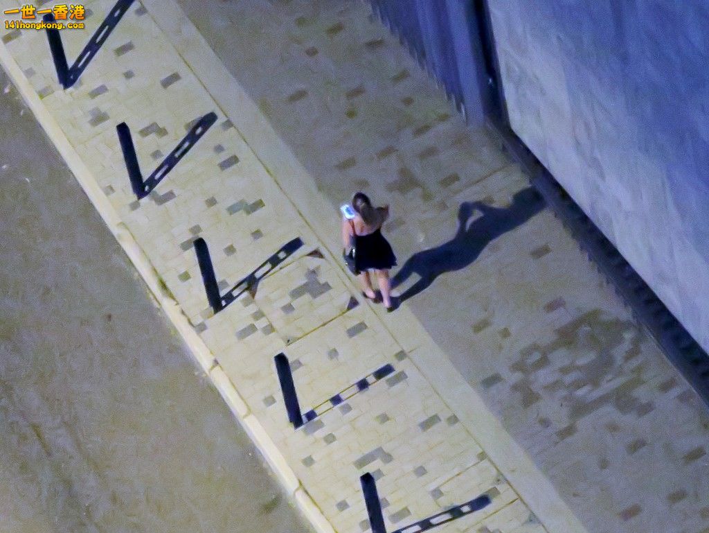 IMG_6870 (Large).JPG