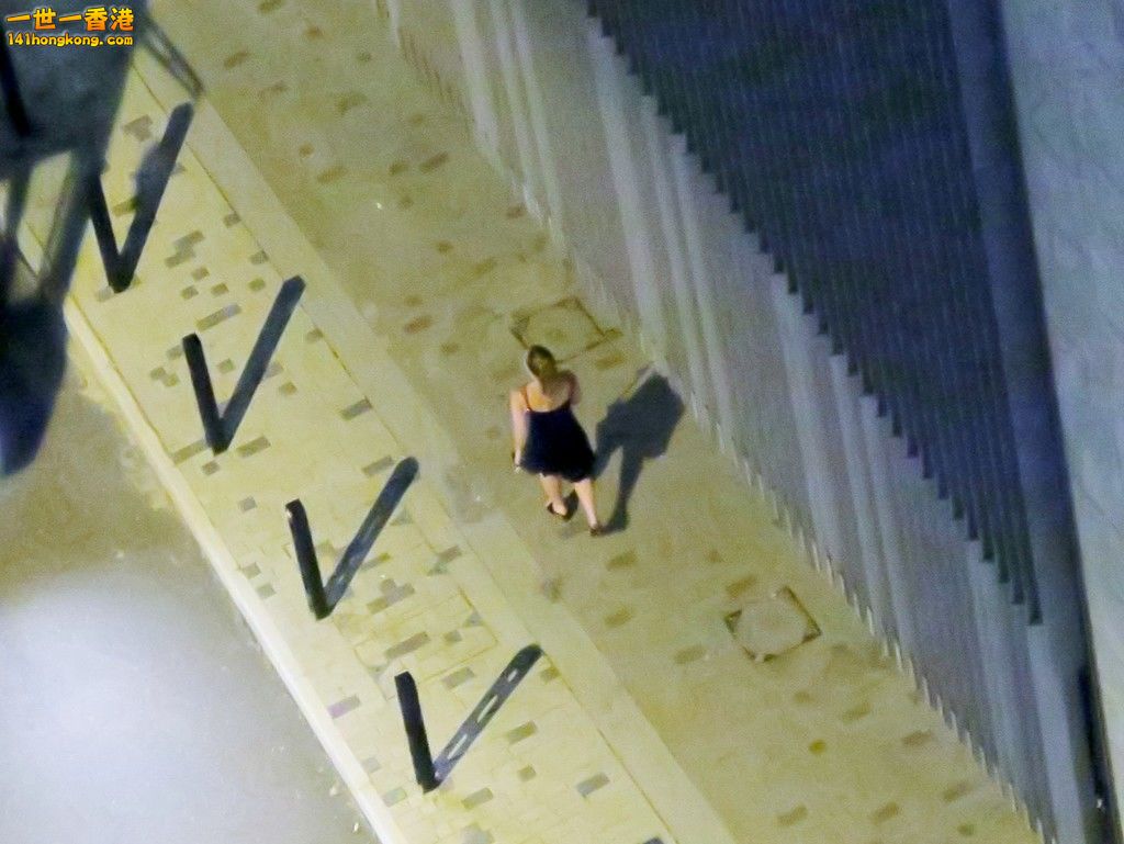 IMG_6871 (Large).JPG