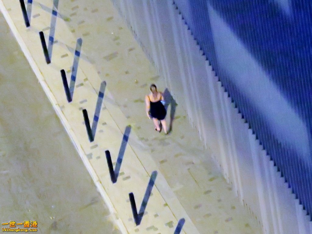 IMG_6872 (Large).JPG