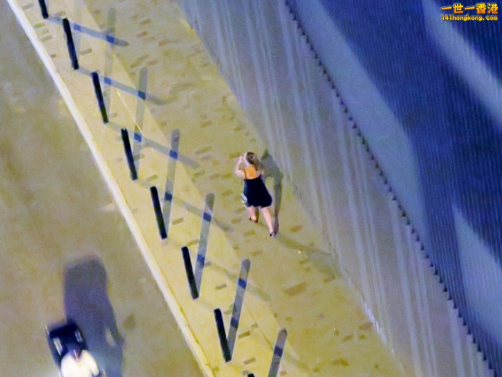 IMG_6873 (Large).JPG