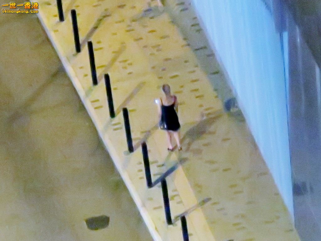 IMG_6876 (Large).JPG