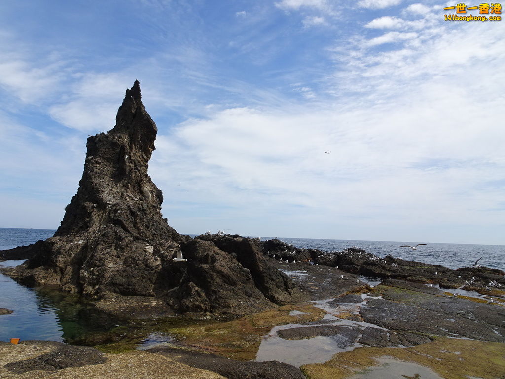 DSC09570.JPG