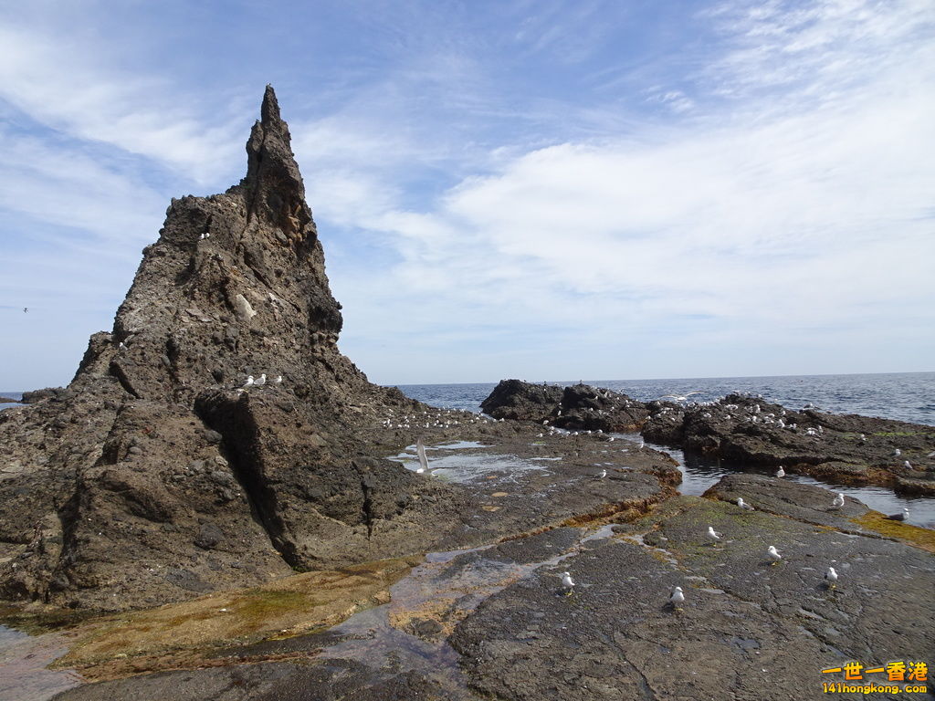 DSC09574.JPG