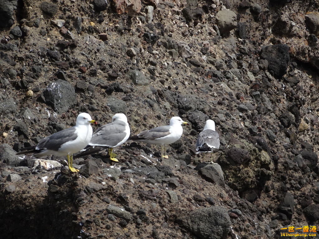 DSC09575.JPG