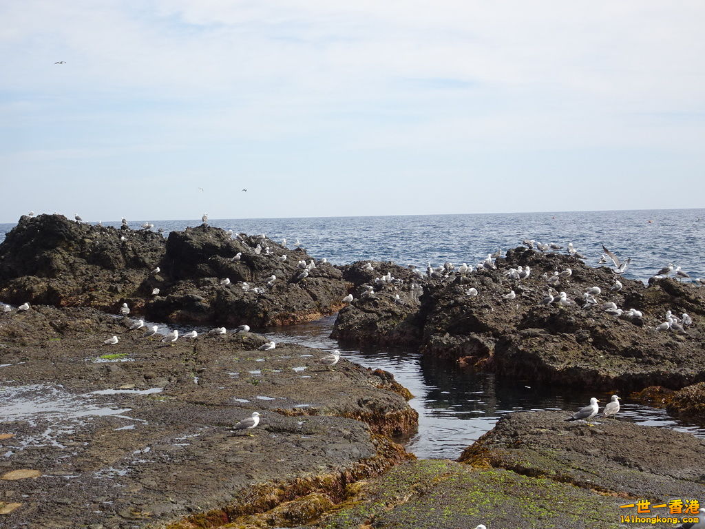 DSC09577.JPG