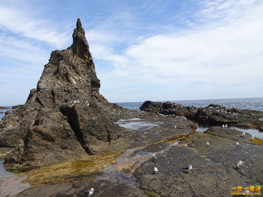 DSC09578.JPG