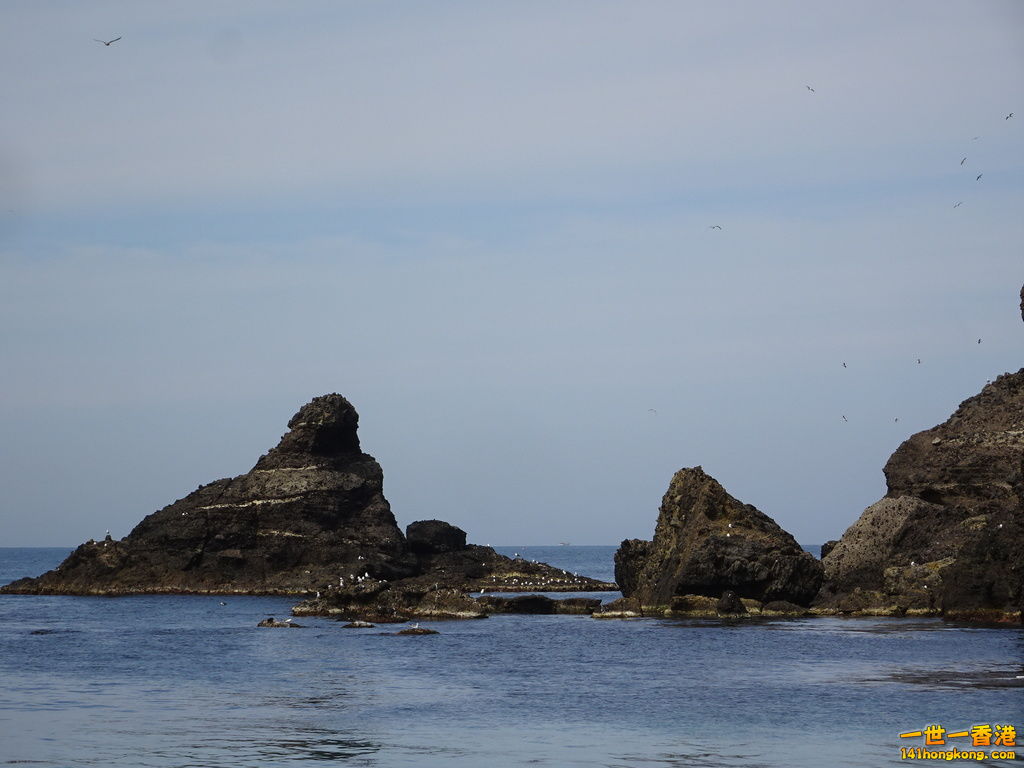 DSC09579.JPG