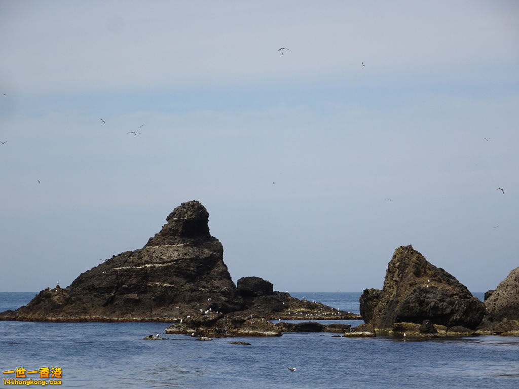 DSC09587.JPG