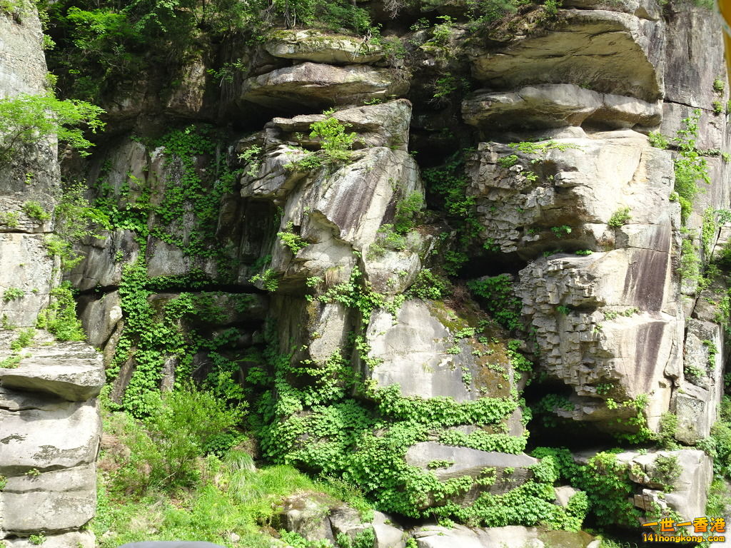 DSC00030.JPG