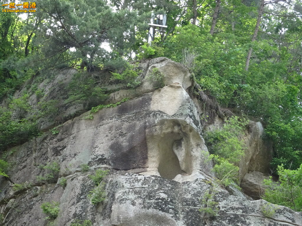 DSC00052.JPG