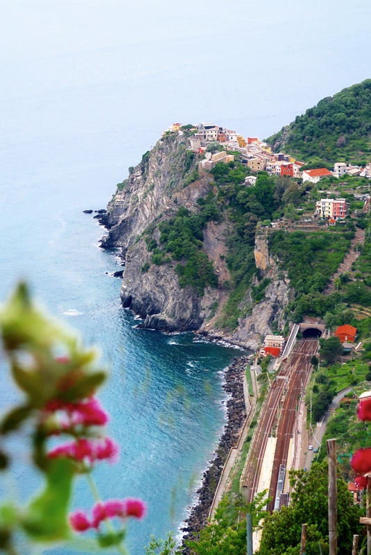 IMG_7985 Corniglia.JPG