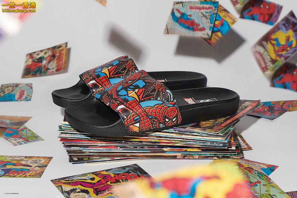 Vans 30.jpg