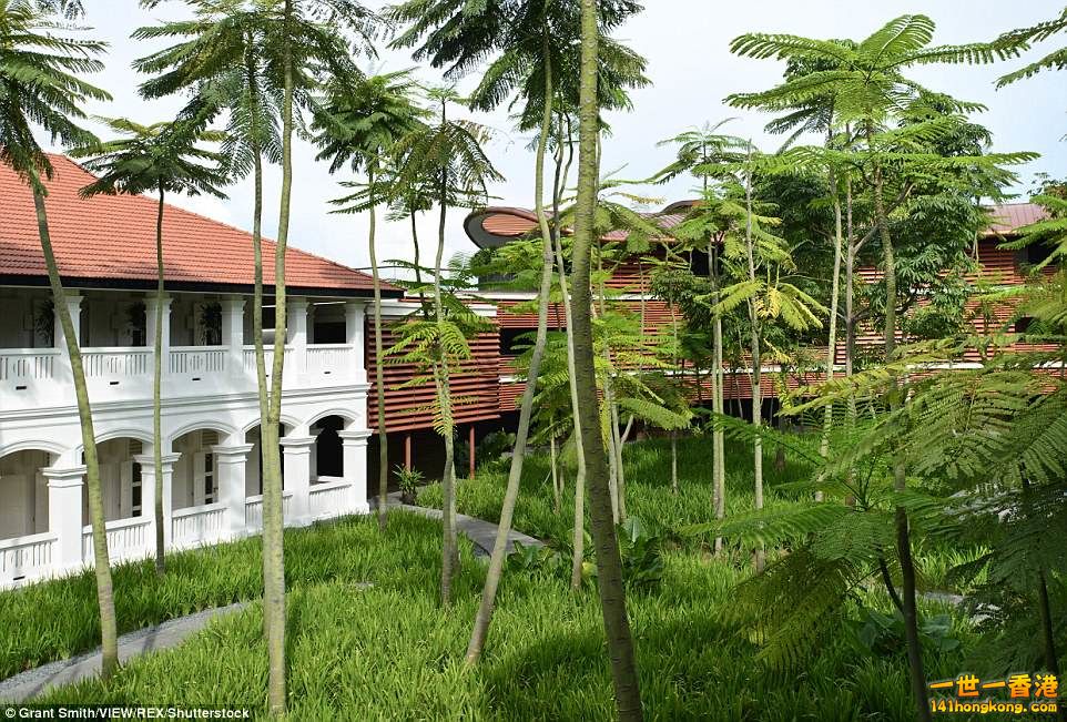 Capella Hotel on Singapore   20.jpg