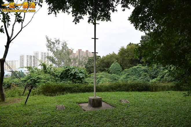 169.JPG