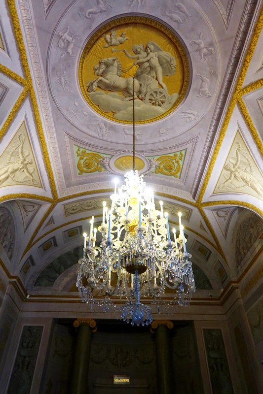 IMG_8784.JPG