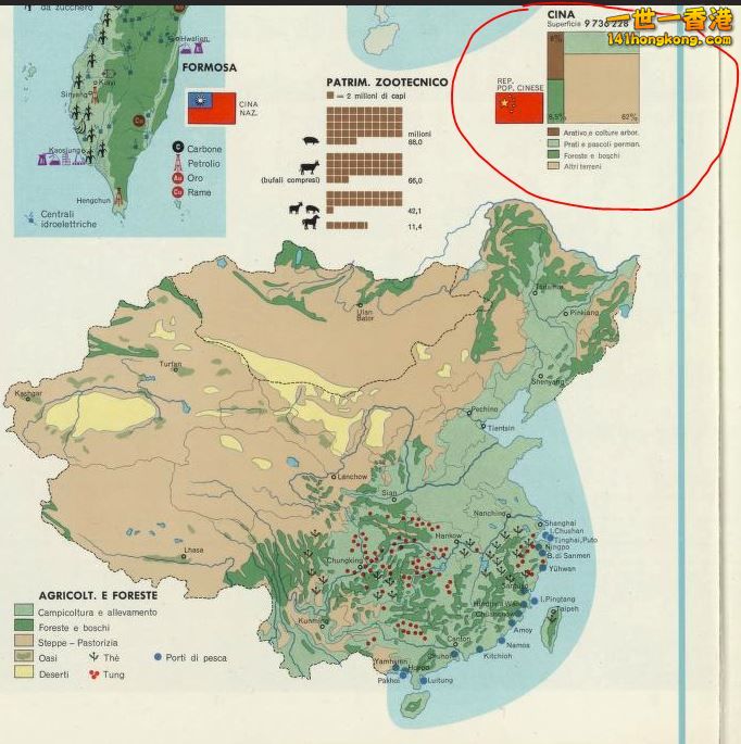 cina.JPG