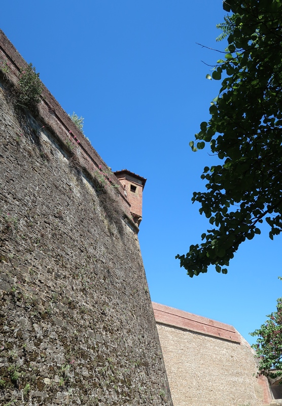 IMG_8892.JPG
