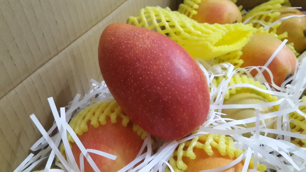 20180623_201309 [1600x1200].jpg