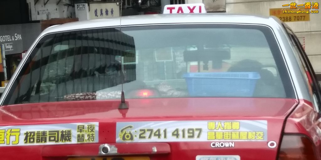 相片1123.jpg