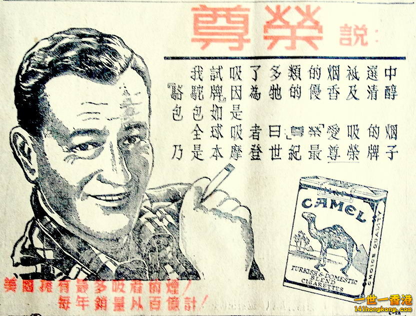 12238348_1044768892242049_6236137558686912510_o - 複製.jpg