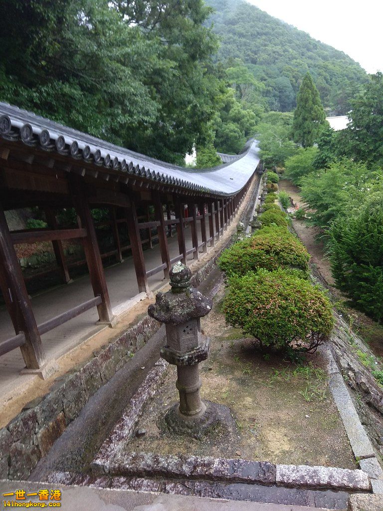 2018-07-05 13.28.18.jpg