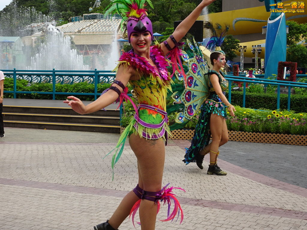 DSC00229.JPG