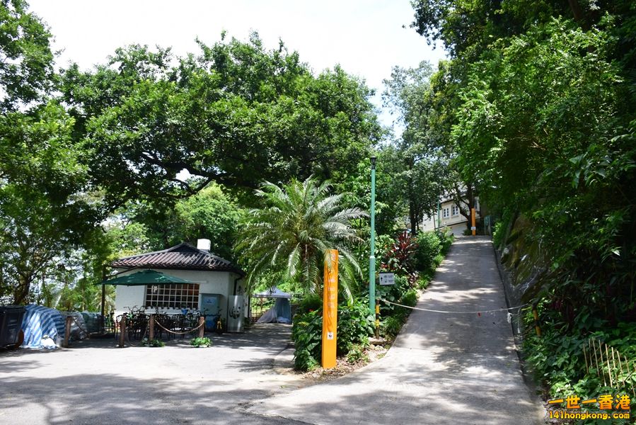 442.JPG