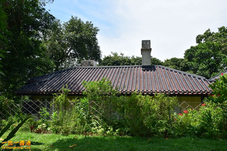 431.JPG