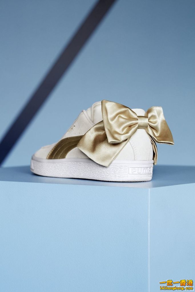 PUMA3.jpg