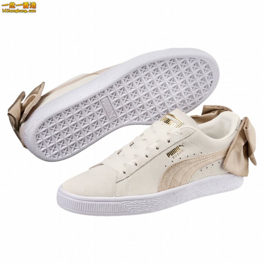 PUMA4.jpg
